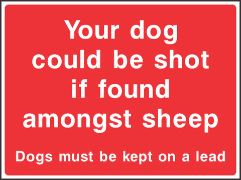Your dog could be shot if found amongst sheep Dogs must be kept on a lead Sign